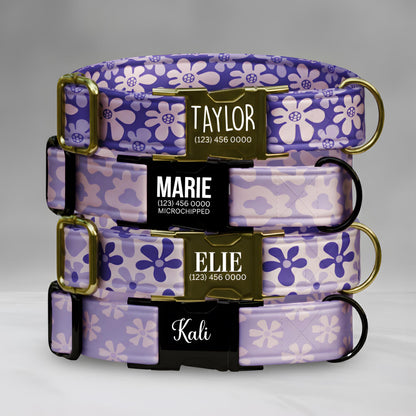 Purple Daisy Dog Collar with Leash Set - Personalized Floral Fabric (OG-415)