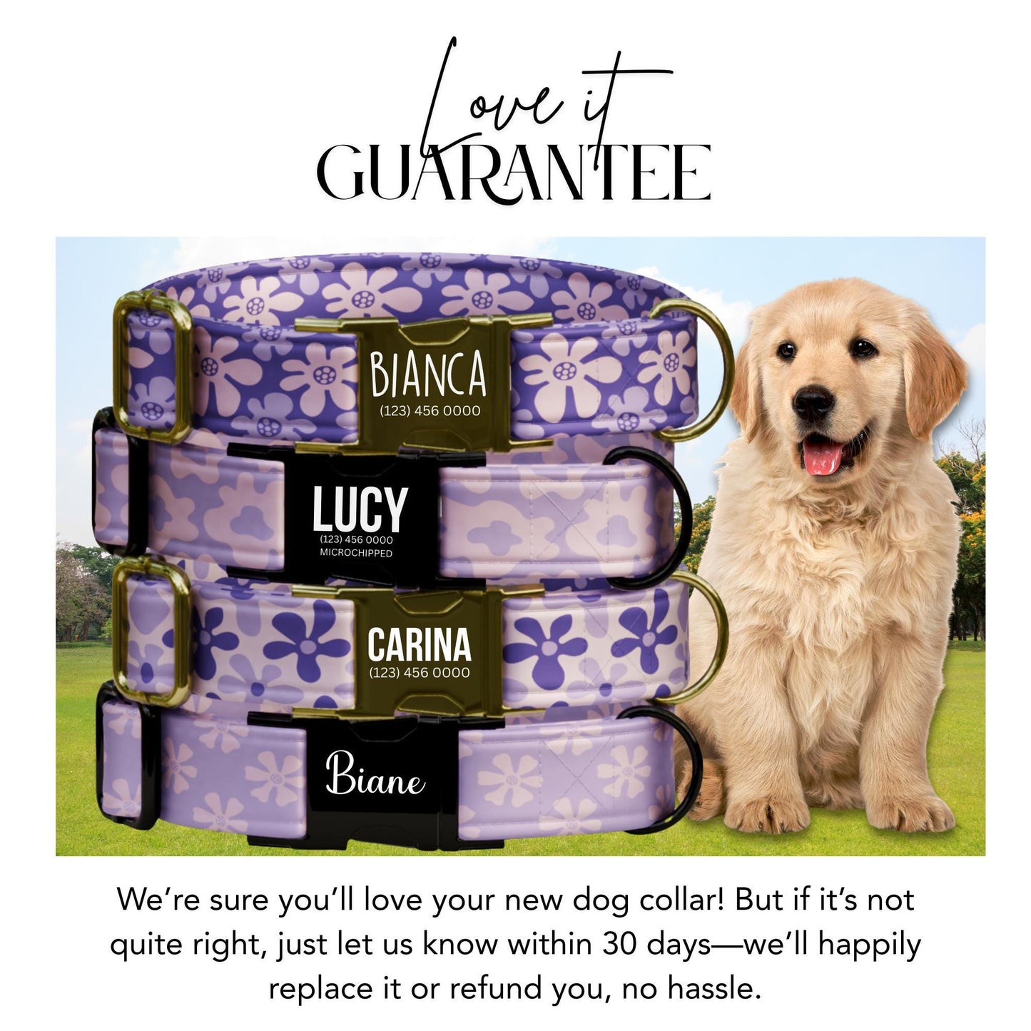 Purple Daisy Dog Collar with Leash Set - Personalized Floral Fabric (OG-415)
