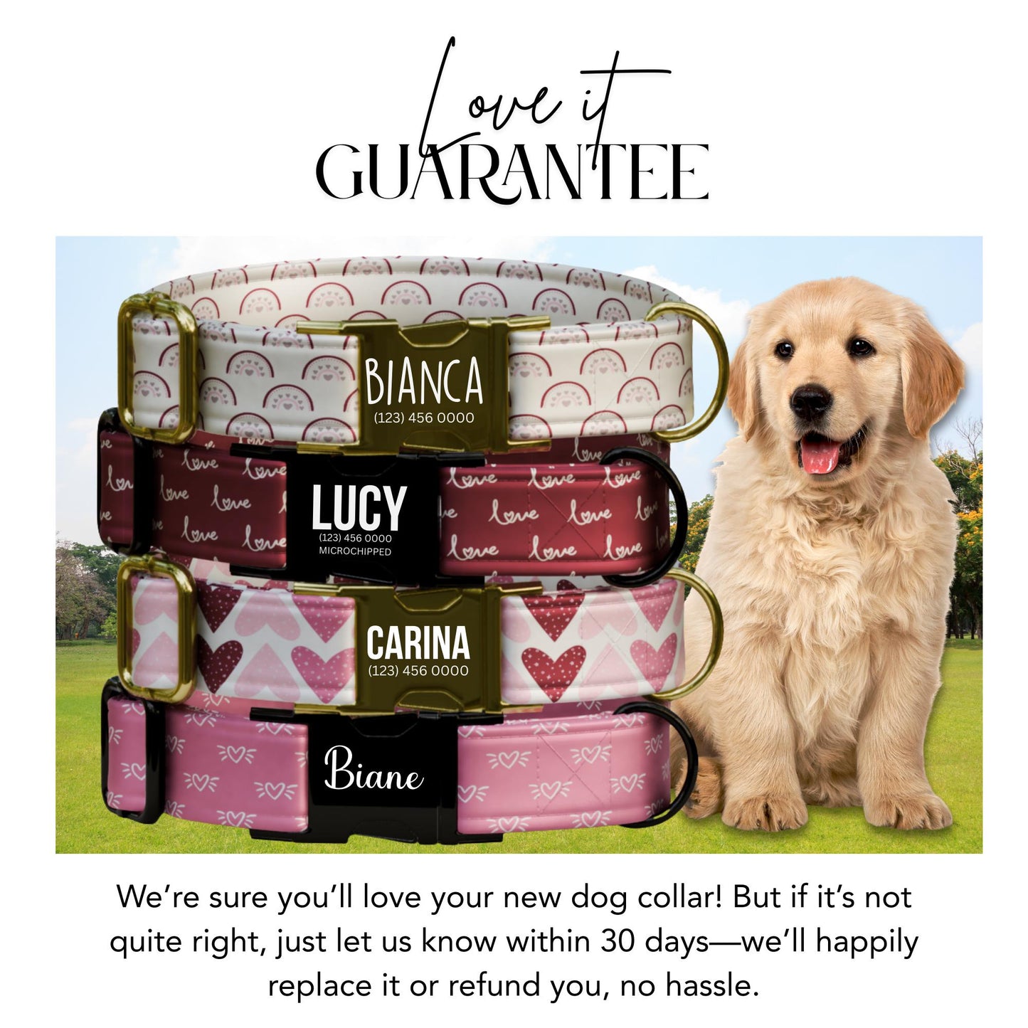 Personalized Valentine's Day Dog Collar: Hearts & Love Prints (OG-412)
