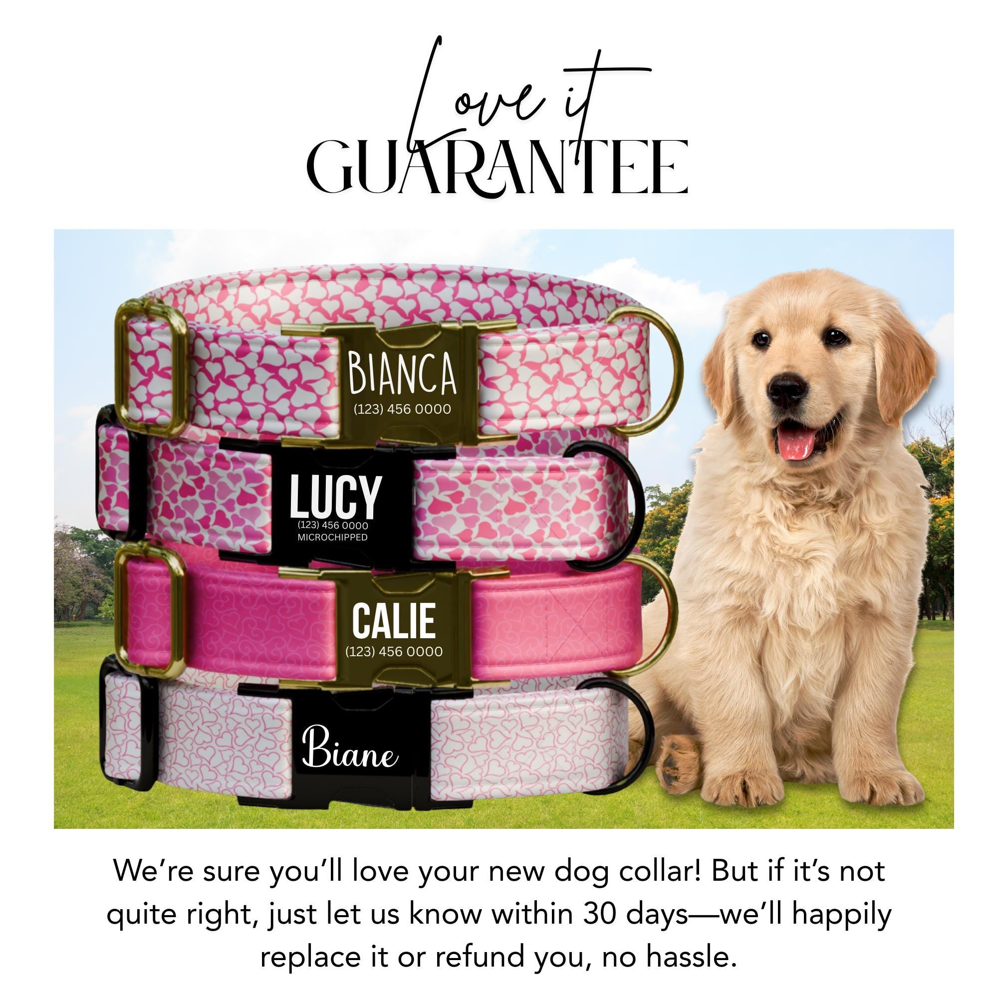 Personalized Valentine Dog Collar: Pink Heart Print, Custom Name (OG-413)