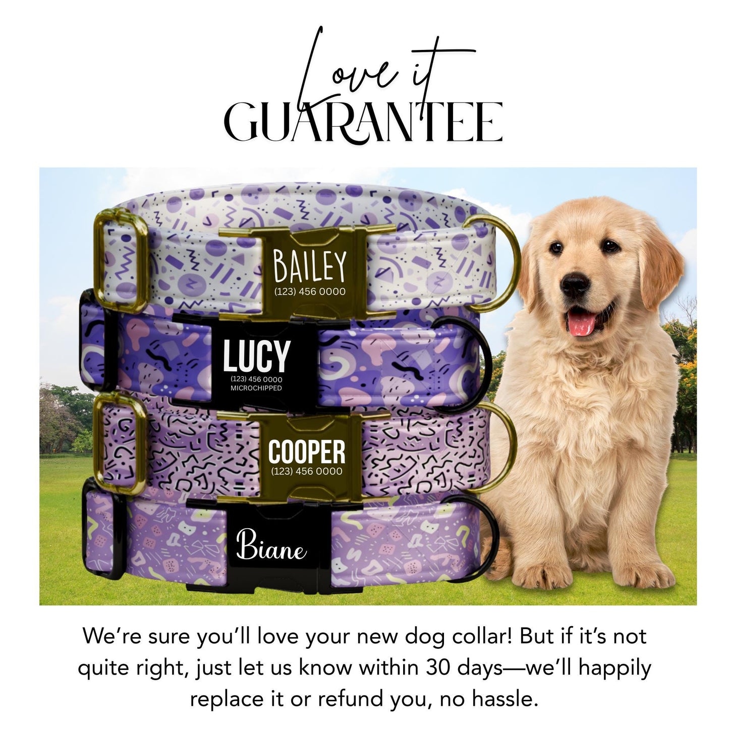 Purple Pop Memphis Dog Collar  Personalized Lavender Abstract Collar Custom Name & Number (OG-421)