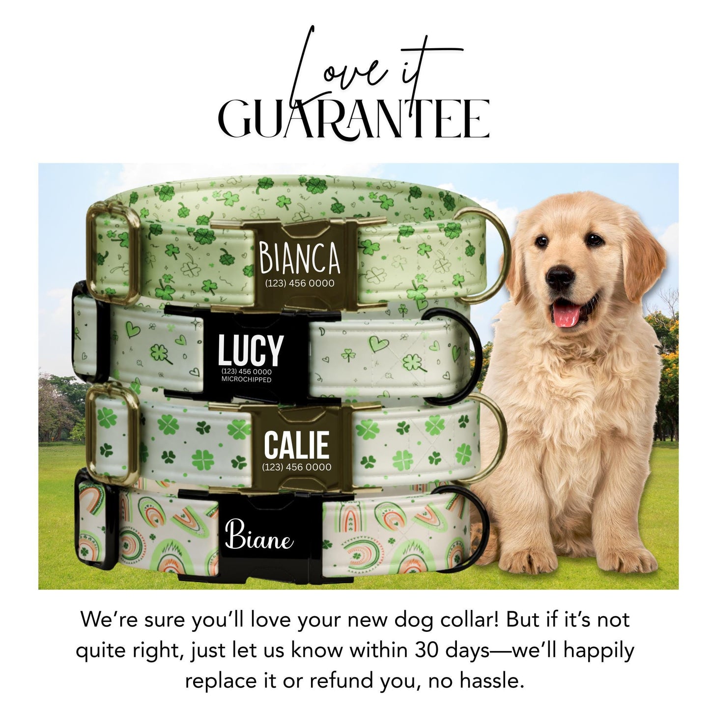 Lucky Clover Rainbow Personalized Dog Collar  St. Patricks Day Gift for Pets (OG-429)