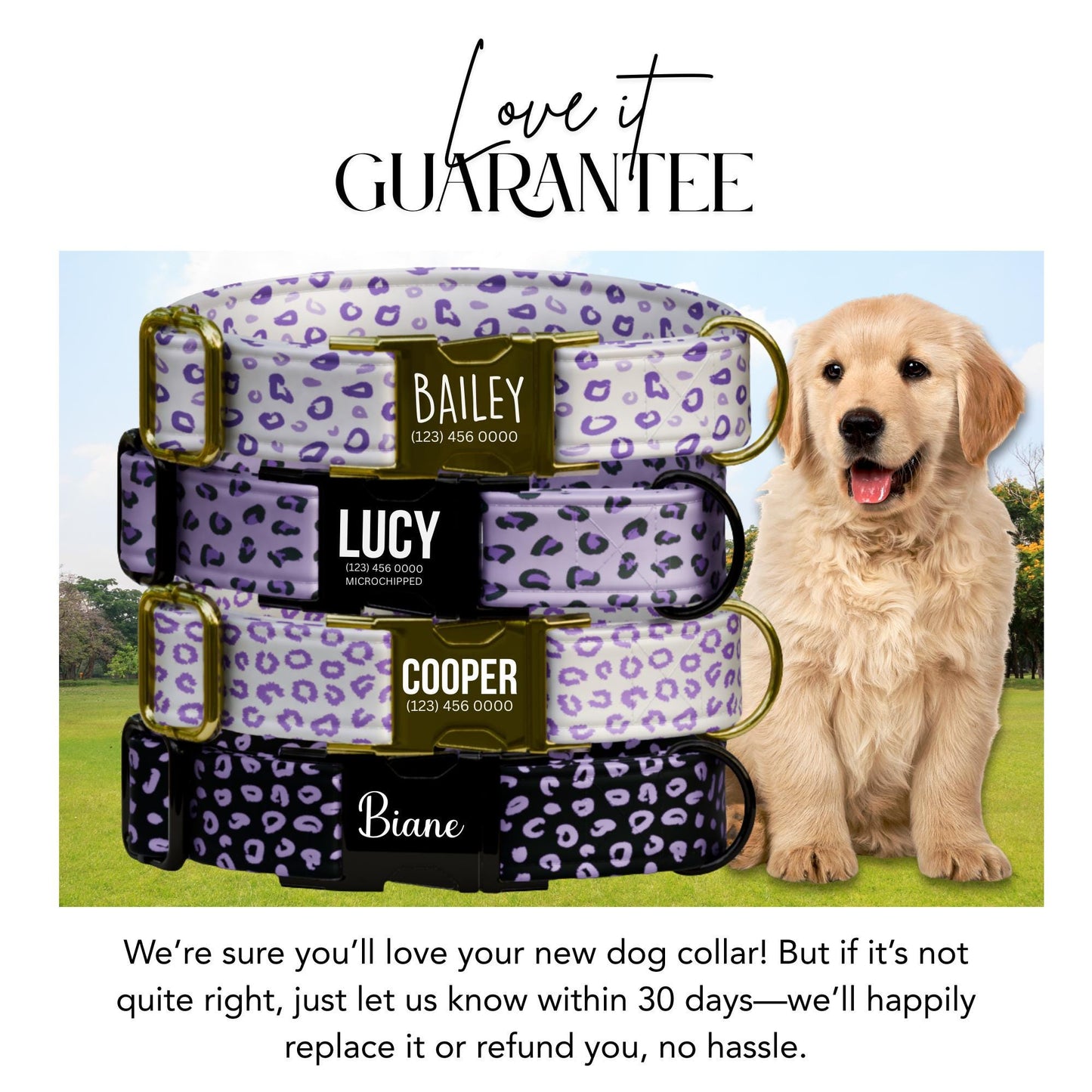 Purple Leopard Luxe Personalized Dog Collar Custom Engraved Buckle leopard Print (OG-426)