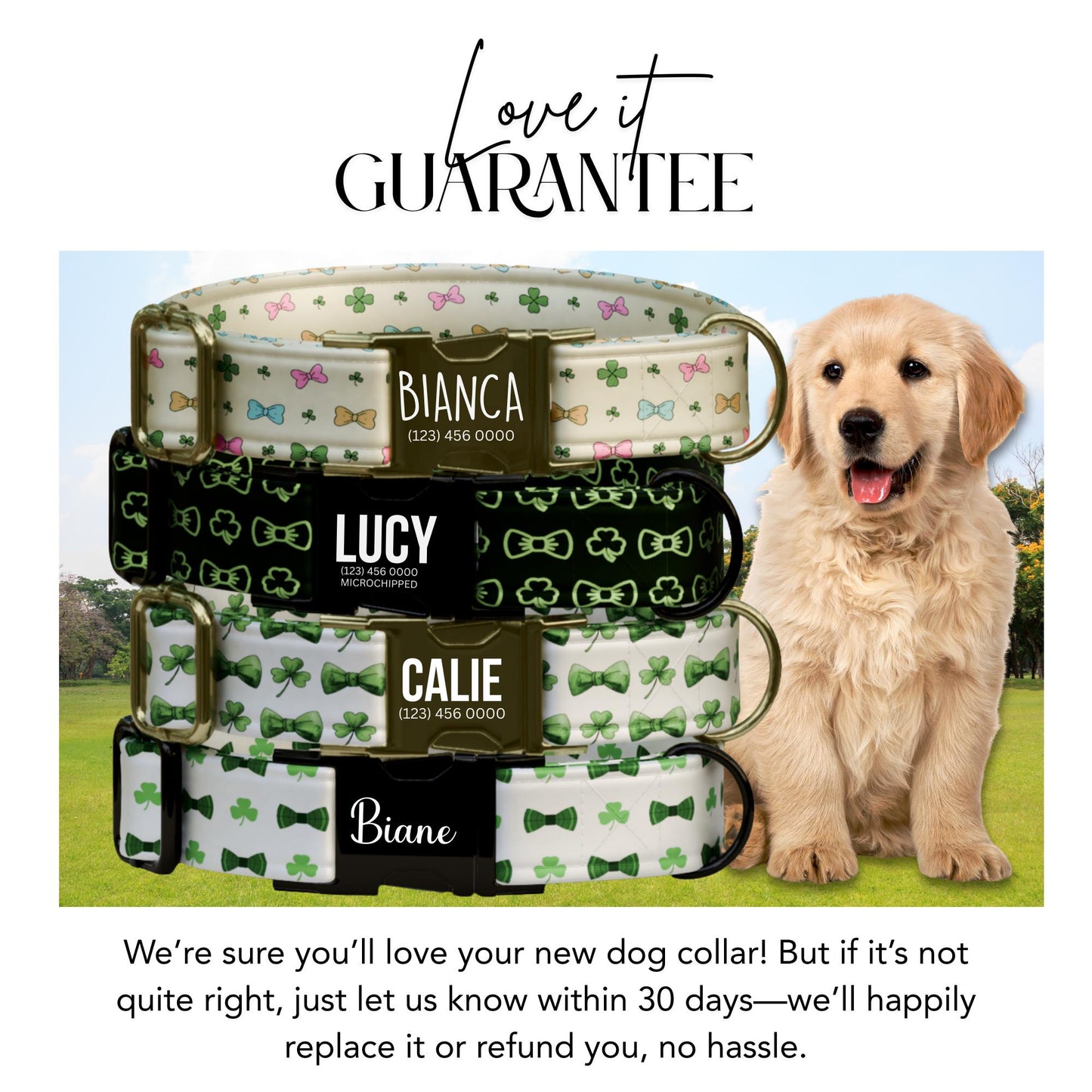 Lucky Bow Personalized Dog Collar  Clover & Bow Print Custom St. Patrick's Day Gift  (OG-435)