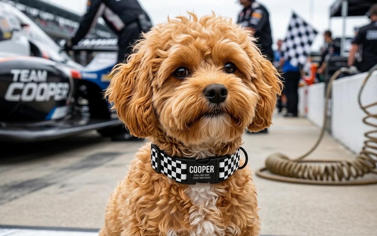 Racing Checkered Personalized Dog Collar & Leash Set Custom Dog Accessory (OG-504)