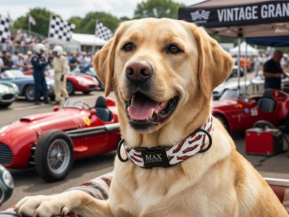 Racing Car Personalized Dog Collar & Leash Set Formula Style Boy Pet Collar (OG-506)