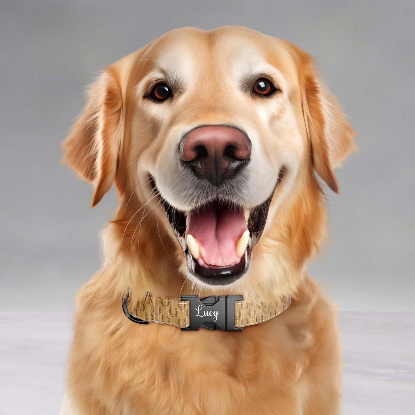 Western Personalized Dog Collar & Leash Set Custom Cowboy Style Pet ID Tag (OG-507)
