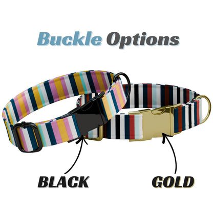Striped Pattern Personalized Dog Collars & Leash Set, Custom Dog Collar with Name Engraved (OG-531)